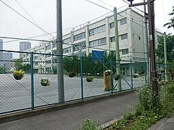 江東区立辰巳中学校まで約1033m