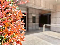 エントランスの画像