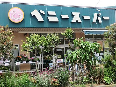 ベニースーパー西亀有店まで約664m