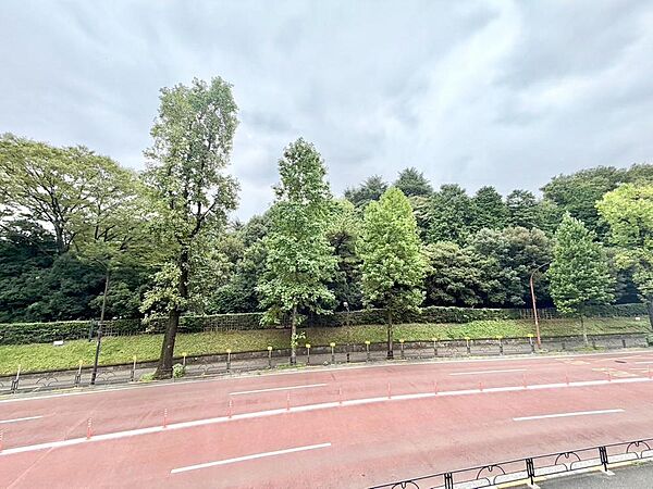周辺を拡大表示
