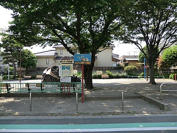 周辺を拡大表示