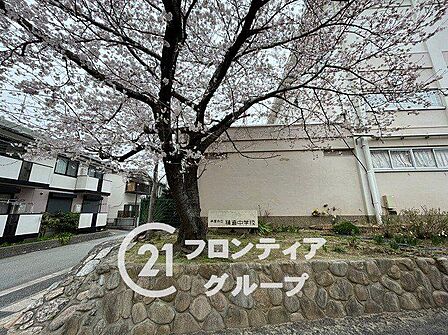 芦屋市立精道中学校 徒歩5分。 350m