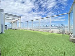 東京タワーや六本木ヒルズを望む、贅沢な都心ビュー。夜にはきらめく夜景が楽しめます。