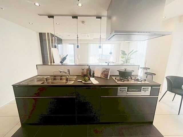 キッチン ルネッサンスタワー上野池之端 25階/-