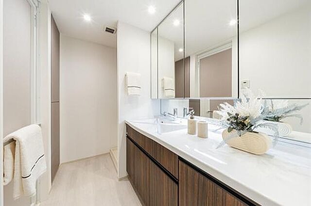 洗面 プライムパークス品川シーサイド ザ・タワー 24階/-