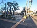 音羽公園 10...