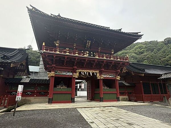 周辺を拡大表示