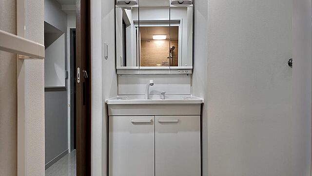 洗面 ライオンズマンション亀有 5階/509