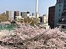 その他：池袋小学校敷地に桜があり、お部屋から桜を望めます。