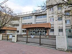 【小学校】柏市立十余二小学校まで884ｍ