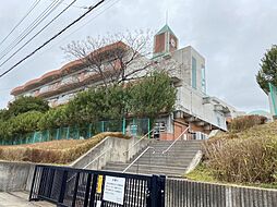 【中学校】柏市立柏中学校まで1308ｍ