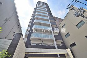 ワールドアイ天王寺ミラージュ 204 ｜ 大阪府大阪市天王寺区国分町17-19（賃貸マンション1K・2階・26.88㎡） その1