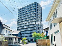 シャイニー紫原