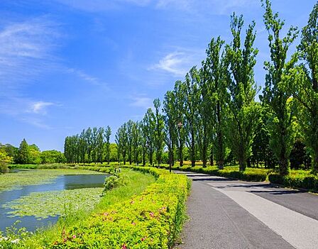 都立水元公園 徒歩17分。 1310m