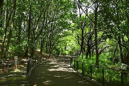 区立赤羽自然観察公園 徒歩6分。 480m