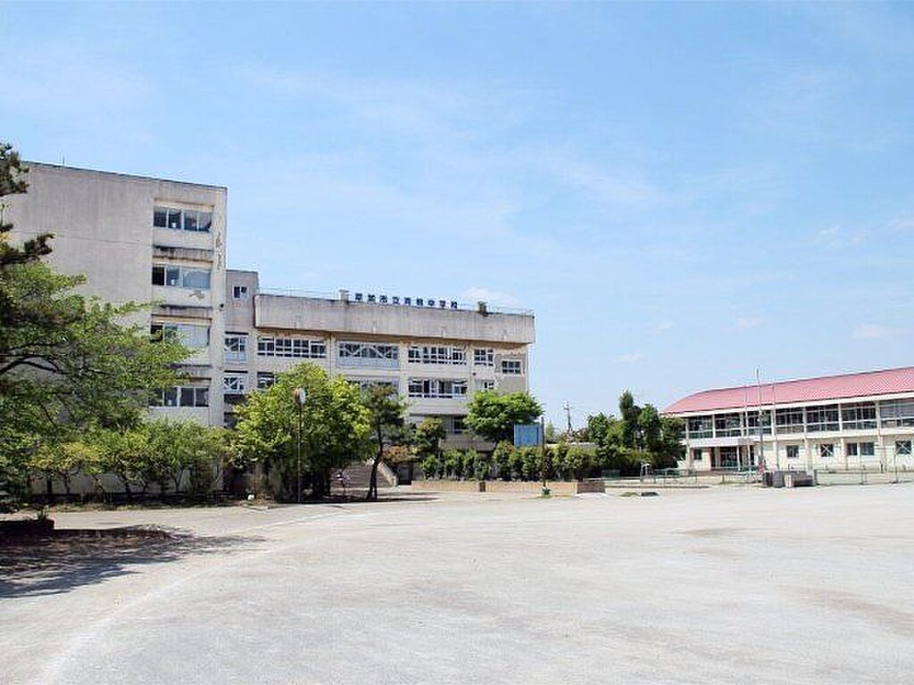 Image 11