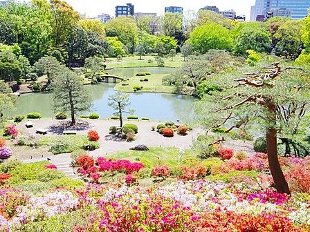 六義園 徒歩11分。 840m