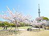 周辺：墨田区立隅田公園 徒歩19分。 1490m