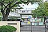 周辺：葛飾区立柴原小学校 徒歩3分。 210m