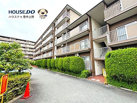 阪急千里線、大阪モノレールの2沿線が利用可能な通勤や通学に便利な立地。周辺は緑豊かで閑静な住環境です♪小学校やスーパーも徒歩10分圏内で生活利便性も良好です。