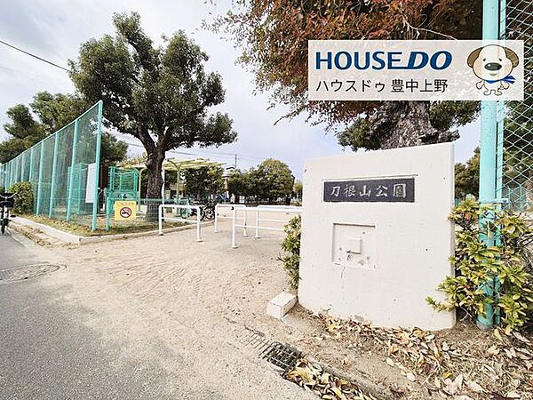周辺を拡大表示
