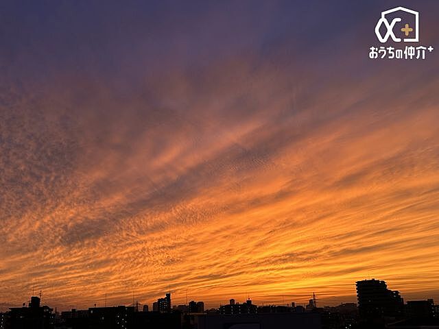 その他 白鳥ダイヤモンドマンション 7階/-