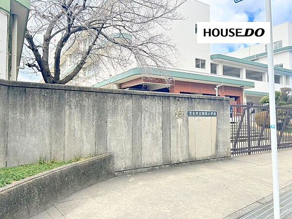 周辺を拡大表示