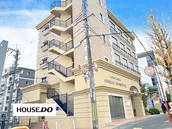 周辺を拡大表示