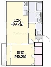 ファレノプシス 1LDKの間取図画像