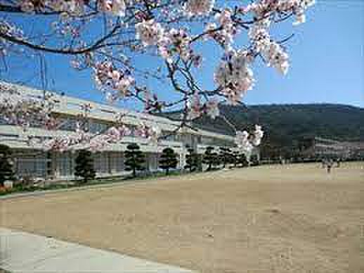 赤穂市立御崎小学校