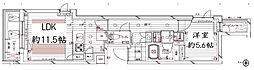 東京メトロ丸ノ内線 新高円寺駅 徒歩9分の賃貸マンション 1階1LDKの間取り
