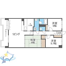 札幌市営東西線 西11丁目駅 徒歩5分 3階/-