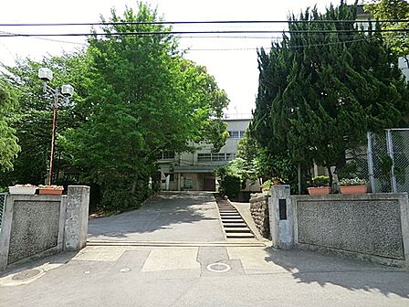 中学校 300m 川口市立鳩ケ谷中学校