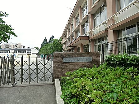 小学校 500m 練馬区立豊玉小学校
