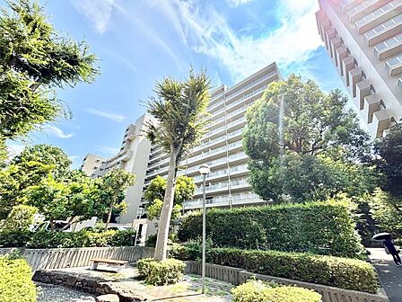 穏やかな時間が過ごせそうな立地