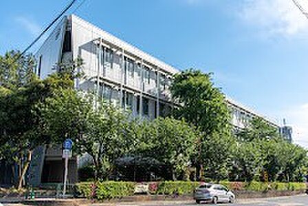 中学校 900m 豊島区立明豊中学校