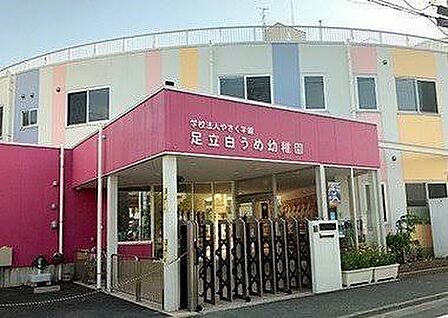 幼稚園・保育園 400m 足立白うめ幼稚園