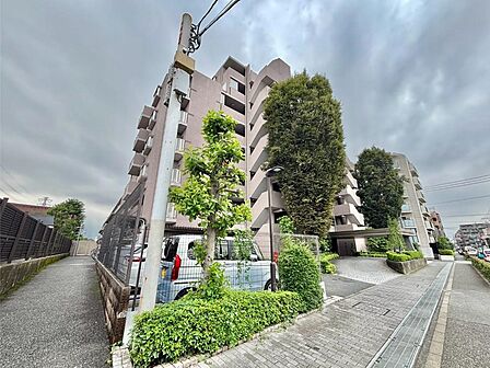 溢れる陽光でご家族の笑顔も輝く