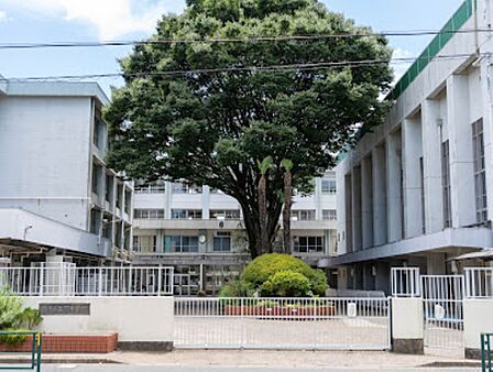 中学校 800m 練馬区立関中学校
