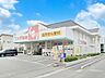 周辺：ドラッグストア 800m スギ薬局上青木店