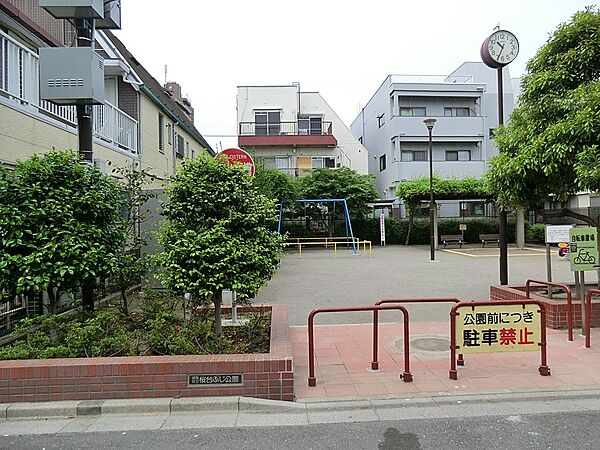 周辺を拡大表示