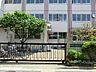 周辺：小学校 1300m 白桜小学校
