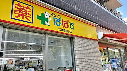 ドラッグストア 500m どらっぐぱぱす 紅葉橋通り店