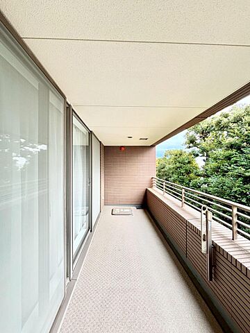 バルコニー クラッシィハウス等々力 4階/-