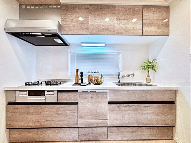 キッチン ハイネスロフティ 10階/-