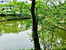 周辺：籠口ノ池公園 1130m