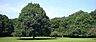 周辺：市立東高根森林公園 640m