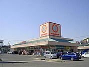 ひまわり戸手店（ドラッグストア）まで1、100ｍ