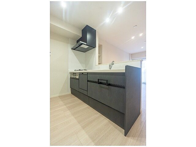 キッチン ライオンズマンション浅草三社 4階/-