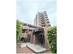 5 / 11